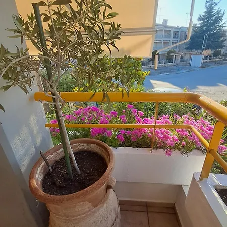 Amalia's House Дом отдыха *