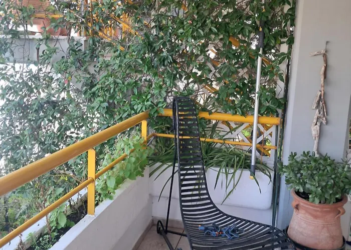 Amalia's House * 卡尼奥提