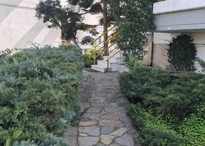 Amalia's House * 卡尼奥提