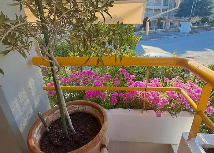 Amalia's House 度假居 *