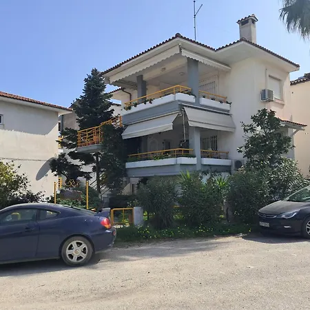 Amalia's House