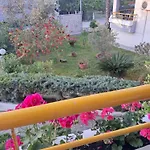 Amalia's House * 卡尼奥提